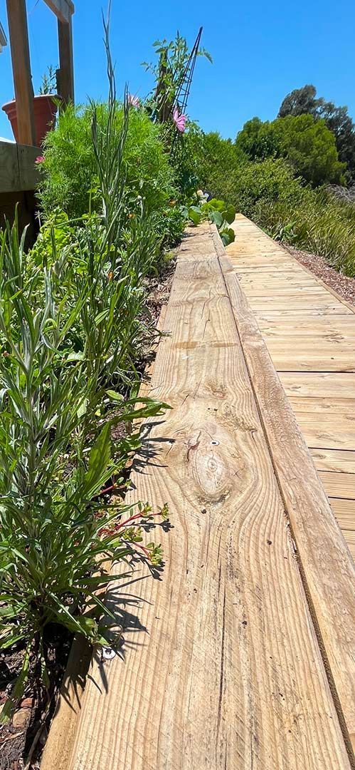 A Wooden Walkway Surrounded By Plants On A Sunny Day — Gnomes Landscape & Garden Supplies In Old Bar, NSW