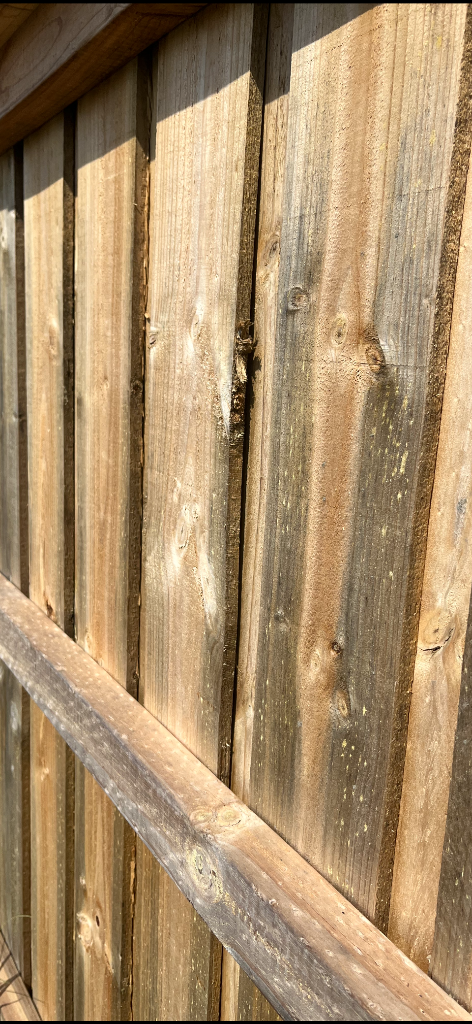 Treated Timber fencing— Gnomes Landscape & Garden Supplies In Taree South, NSW