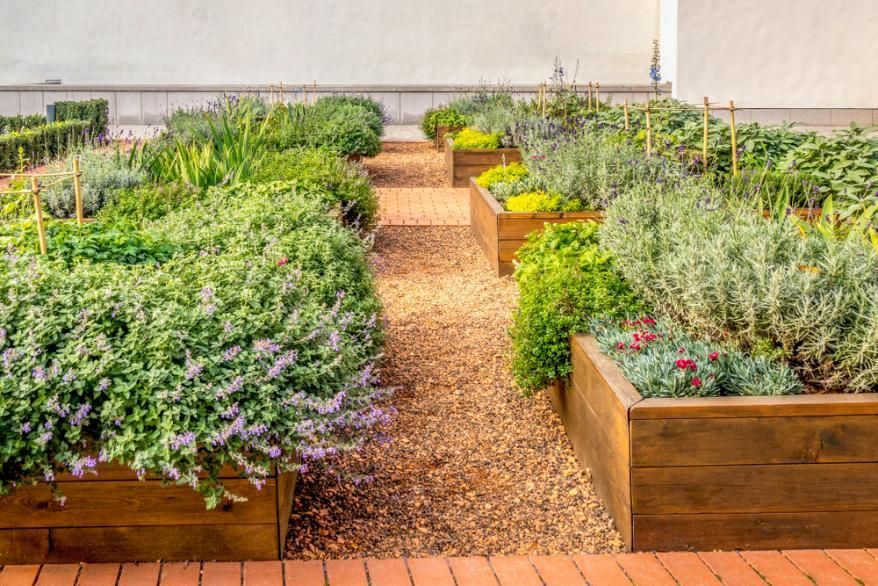 A Garden Filled with Lots of Plants and Flowers — Gnomes Landscape & Garden Supplies In Taree South, NSW
