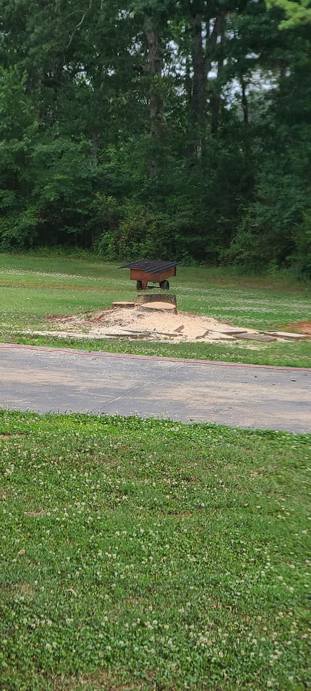 A stump removal in Shelby, NC with Tucker's Tree Service