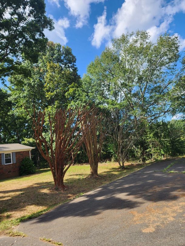 A tree trimming in Shelby, NC - Tucker's Tree Service hard at work