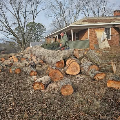 Expert tree removal in Shelby, NC - Tucker's Tree Service hard at work