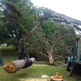 A residential tree service in Shelby, NC - Tucker's Tree Service hard at work
