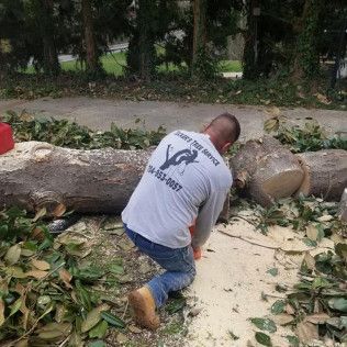 Expert tree removal in Shelby, NC - Tucker's Tree Service hard at work