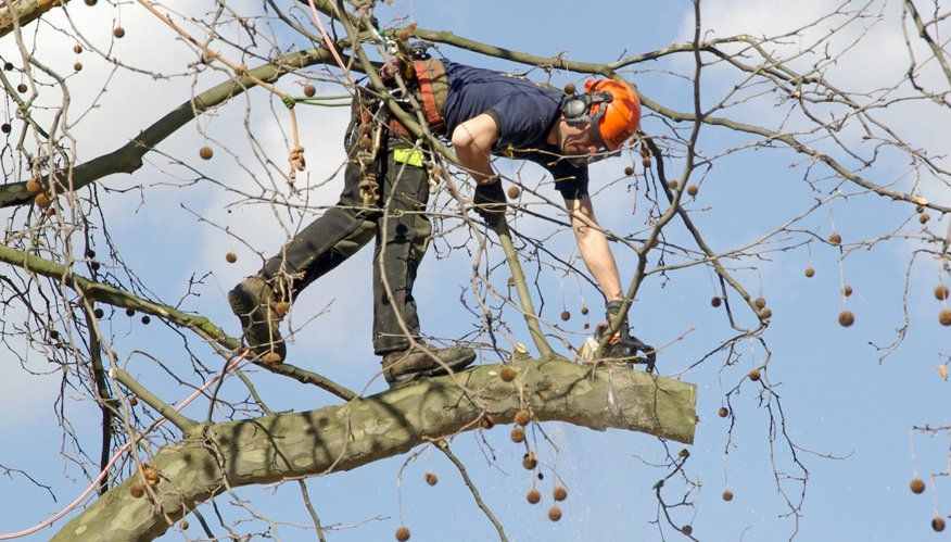 Pruning a branch at height