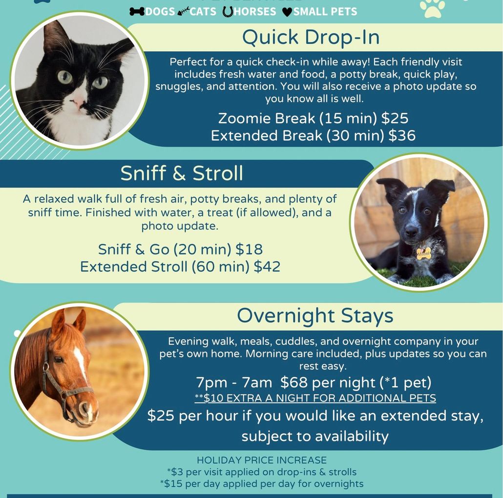 Pet care services flyer: quick drop-ins, walks, overnight stays. Features cat, dog, horse.
