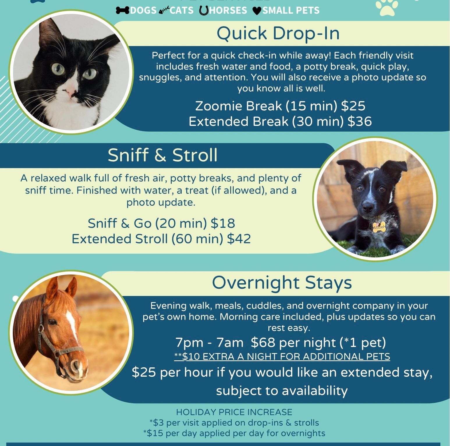 Pet care services flyer: quick drop-ins, walks, overnight stays. Features cat, dog, horse.