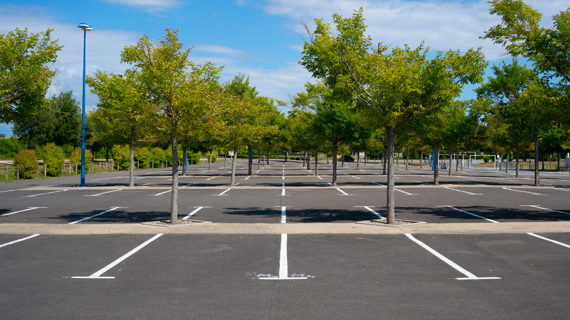 An empty parking lot with trees in the background