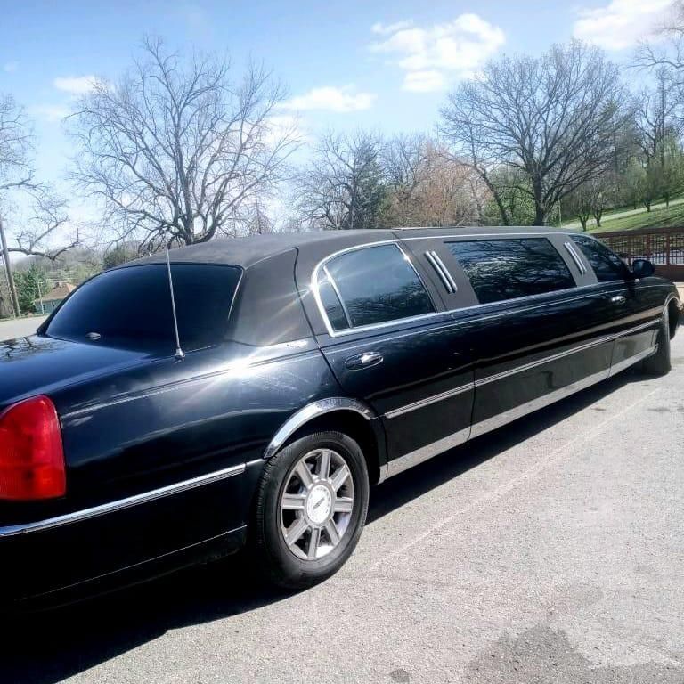 Black stretch limousine parked on a sunny roadside beside leafless trees and grass