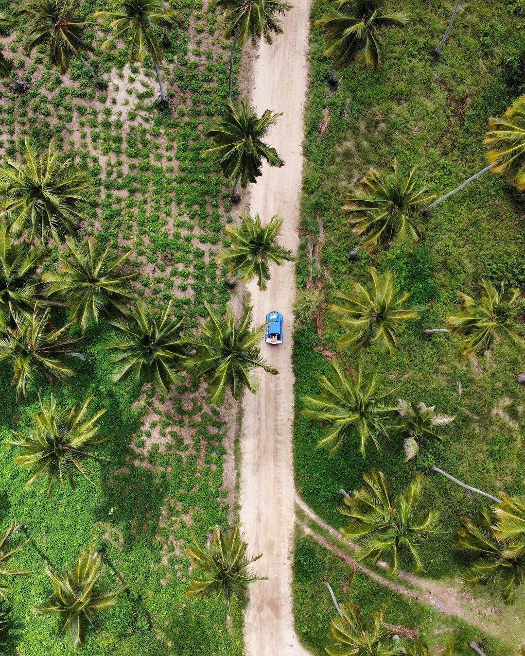 Pousada O Azul De Maragogi