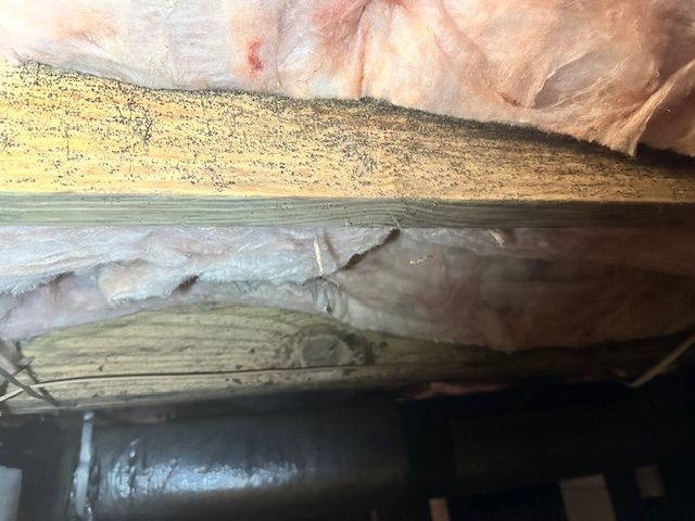 A close up of a piece of wood with insulation on it.