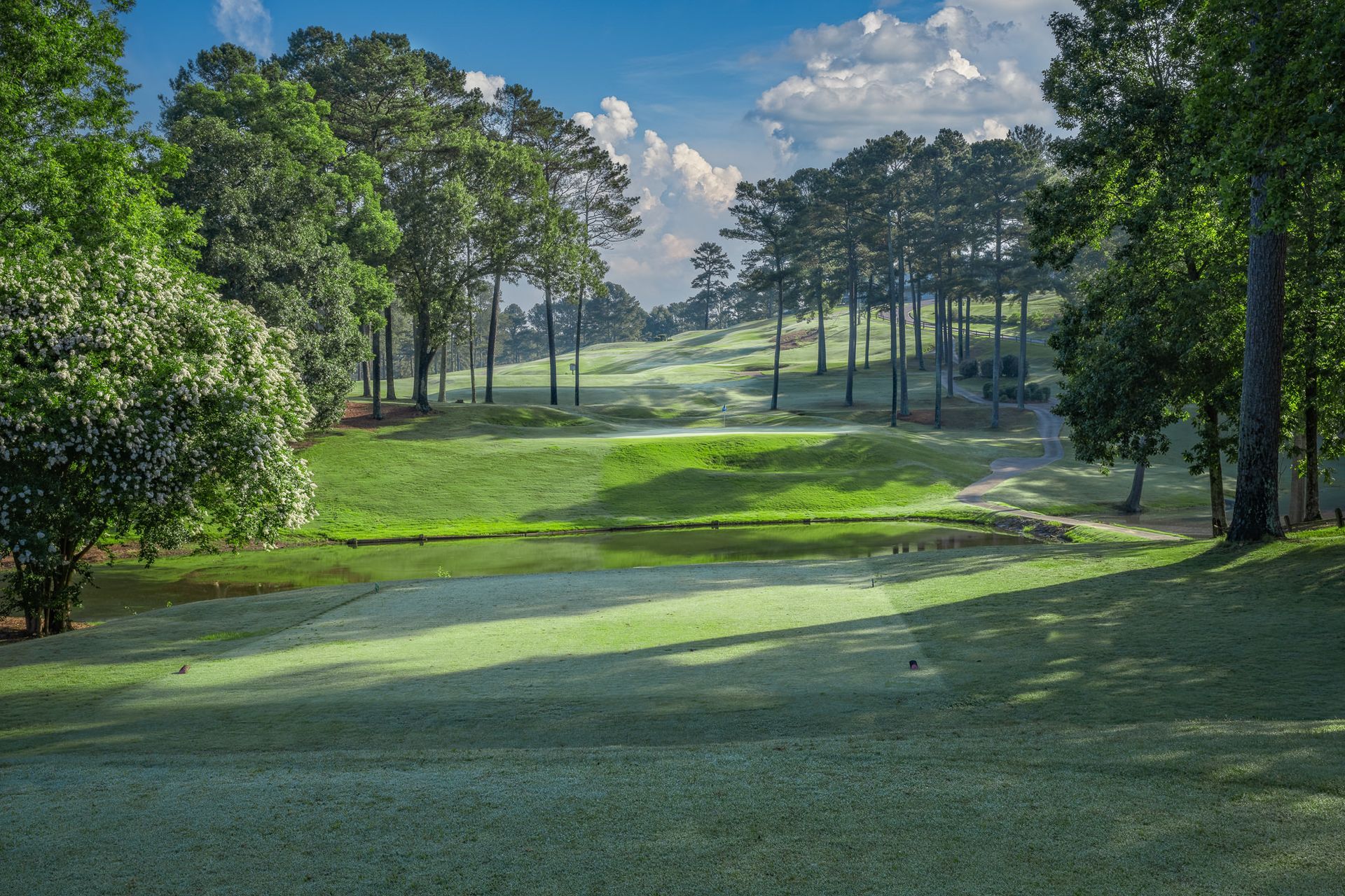 Course Gallery | Terri Pines Country Club | Cullman, AL