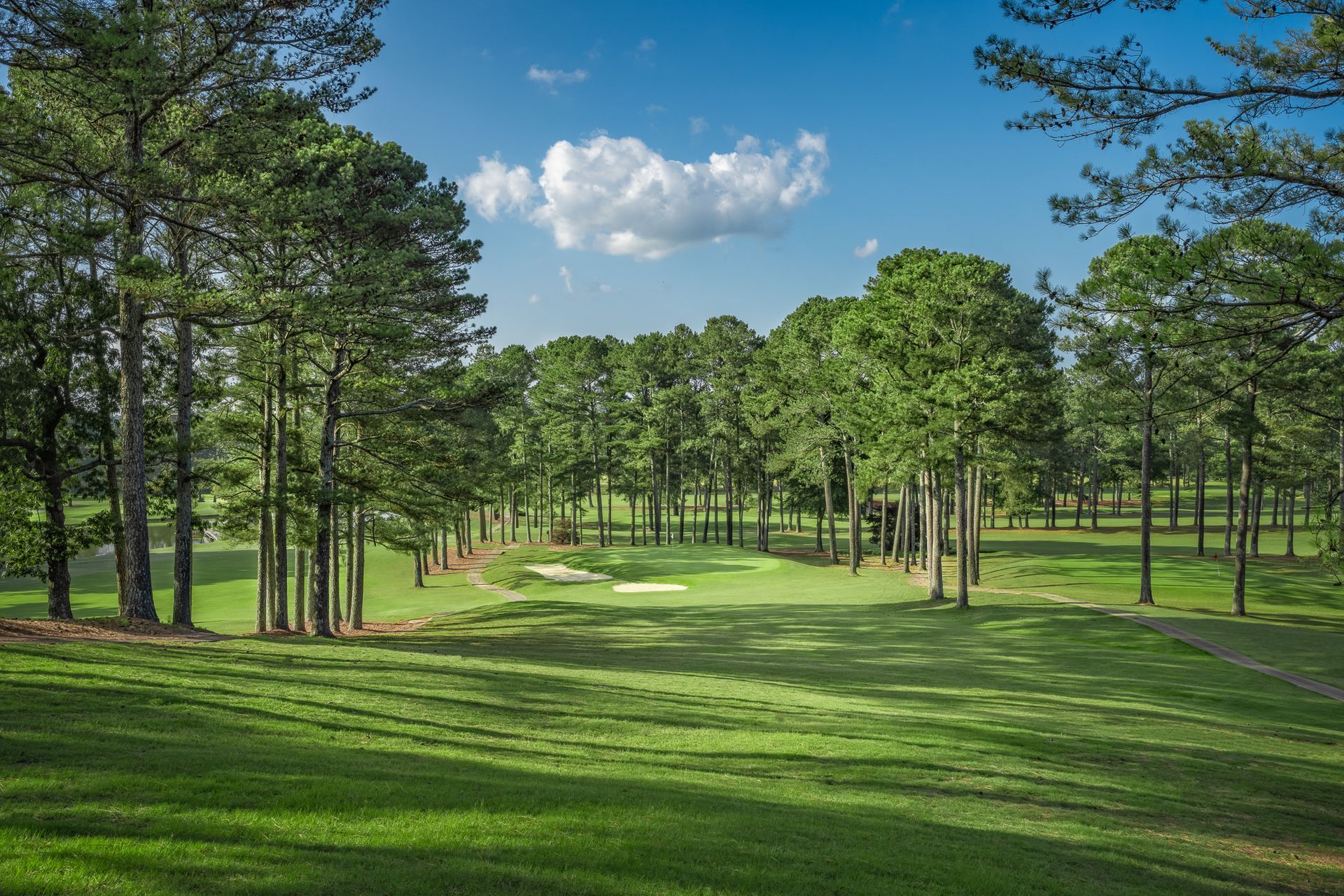 Course Gallery | Terri Pines Country Club | Cullman, AL