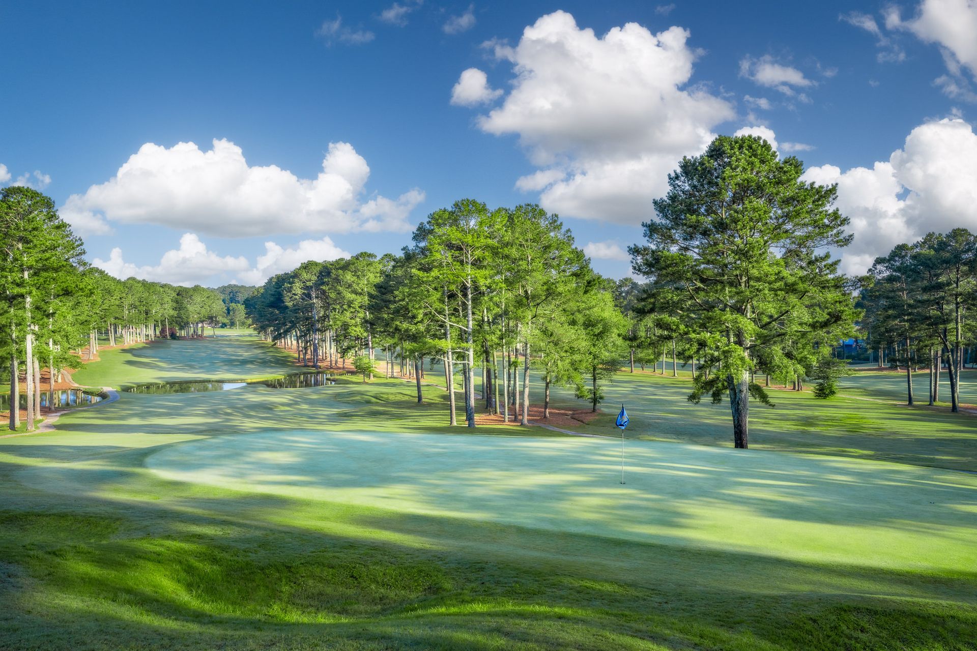 Course Gallery | Terri Pines Country Club | Cullman, AL