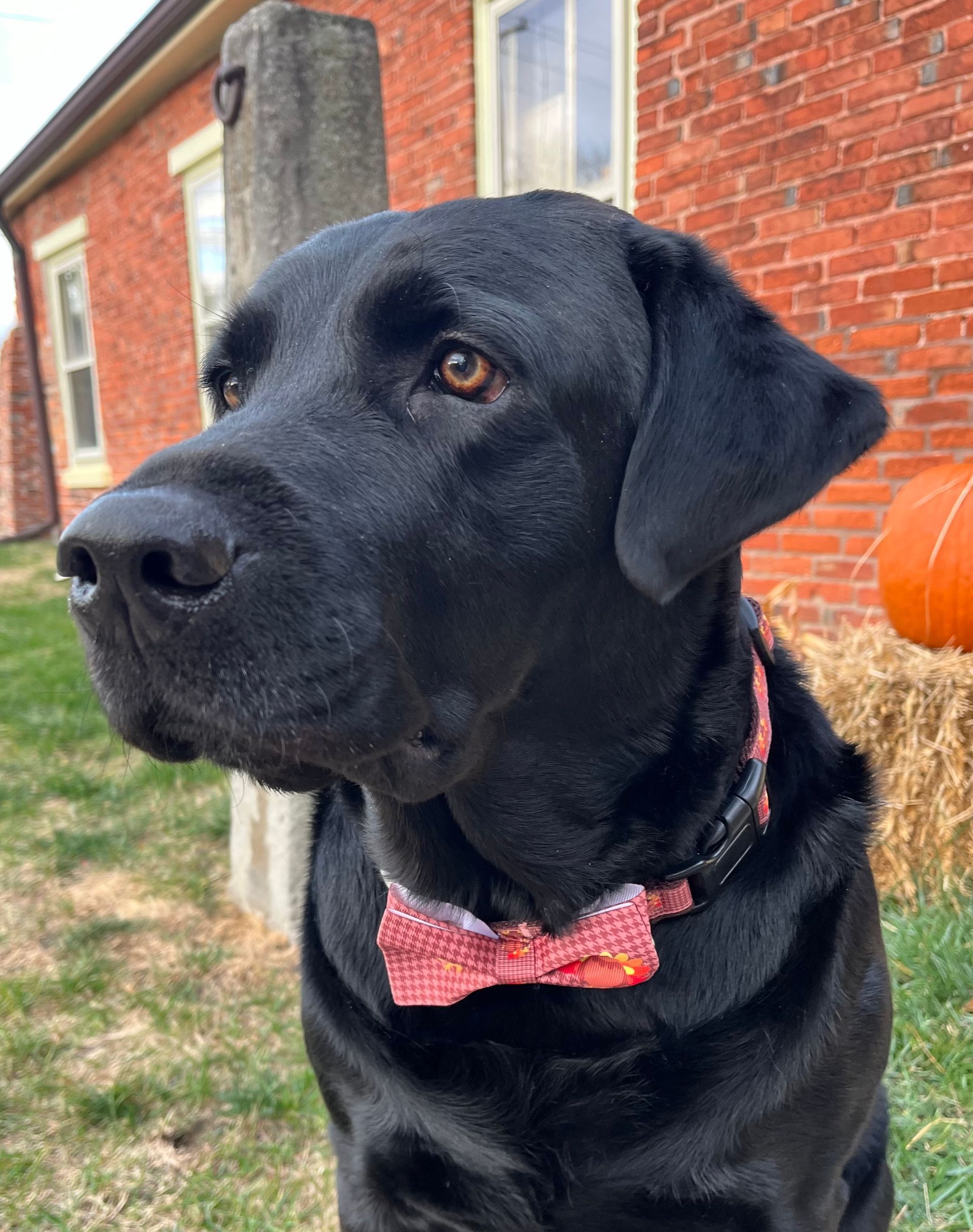 cheap quilting classes near me maumee ohio