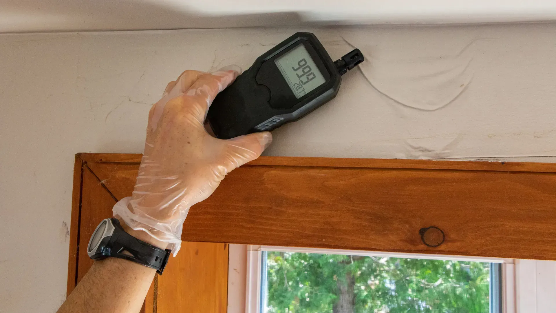 Hand with moisture meter checking wall near window.