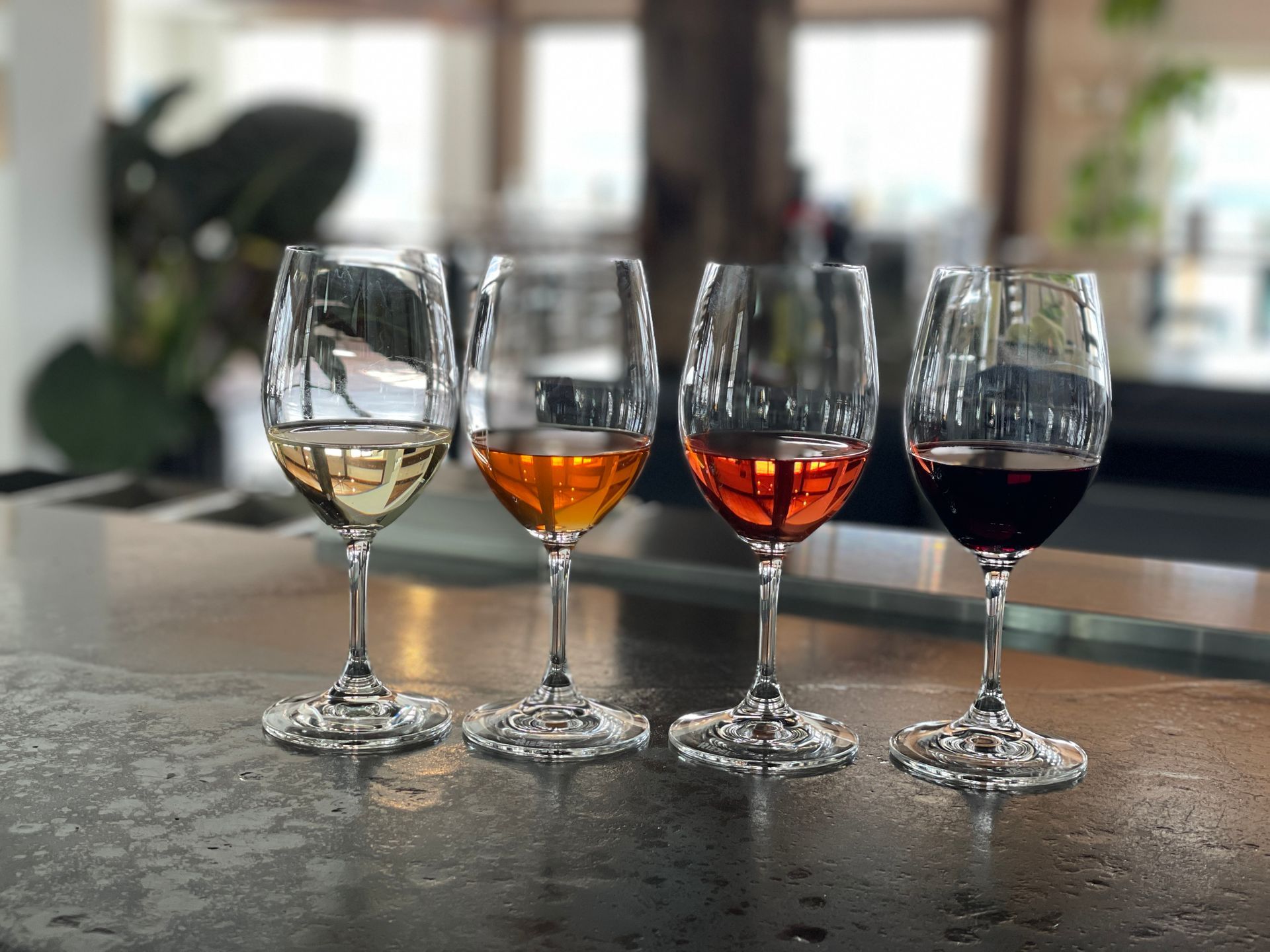 Four glasses filled with different shades of wine—white, amber, rose, and red—lined up on a bar counter.