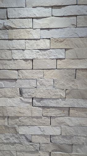 Interior minimalista con pared decorativa de piedra, suelo de baldosas claras y una palmera en maceta de madera.