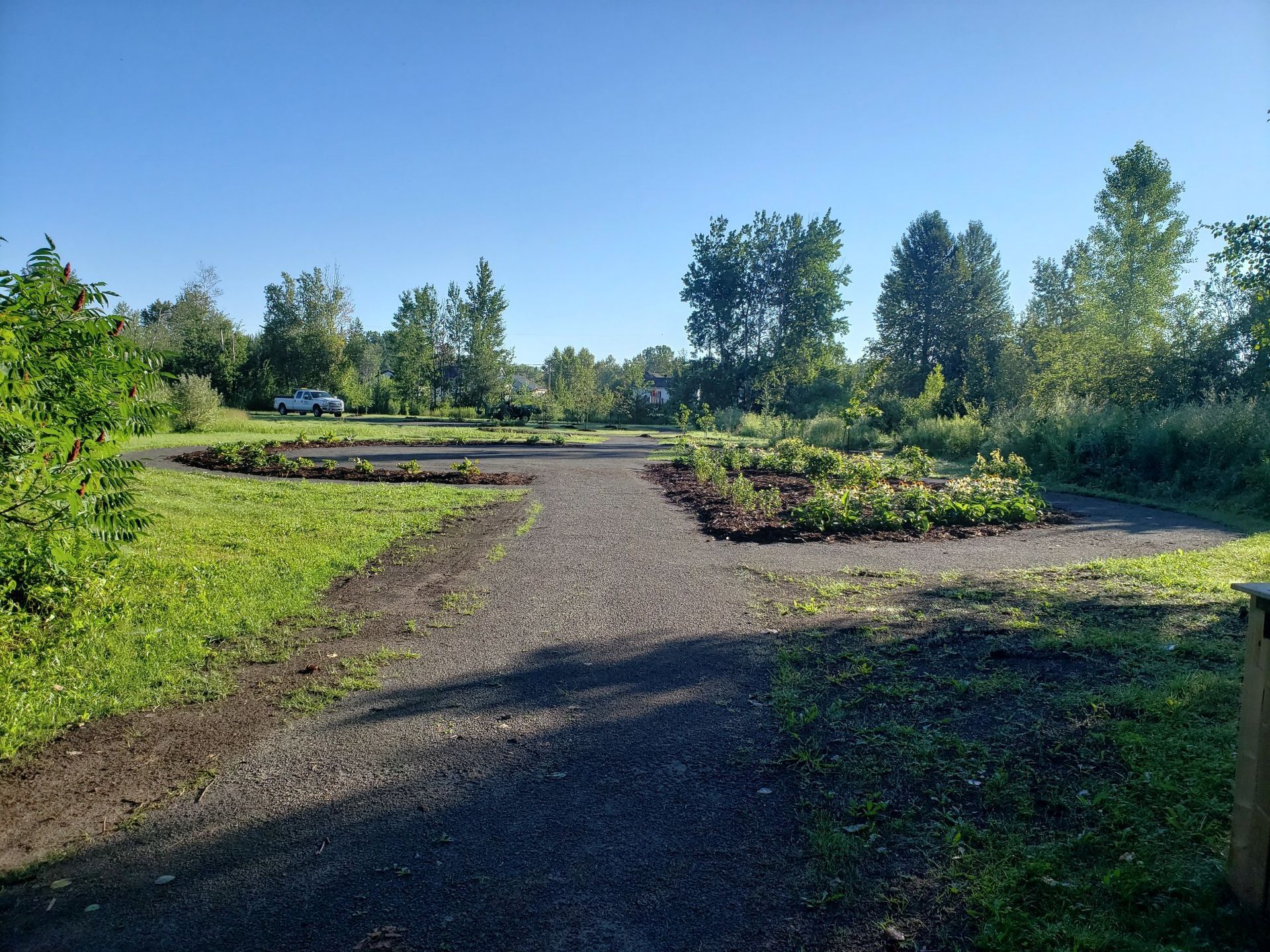 Un chemin de terre traversant un champ herbeux avec des arbres des deux côtés.