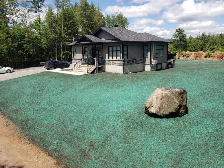 Une maison est assise sur une pelouse verte luxuriante.