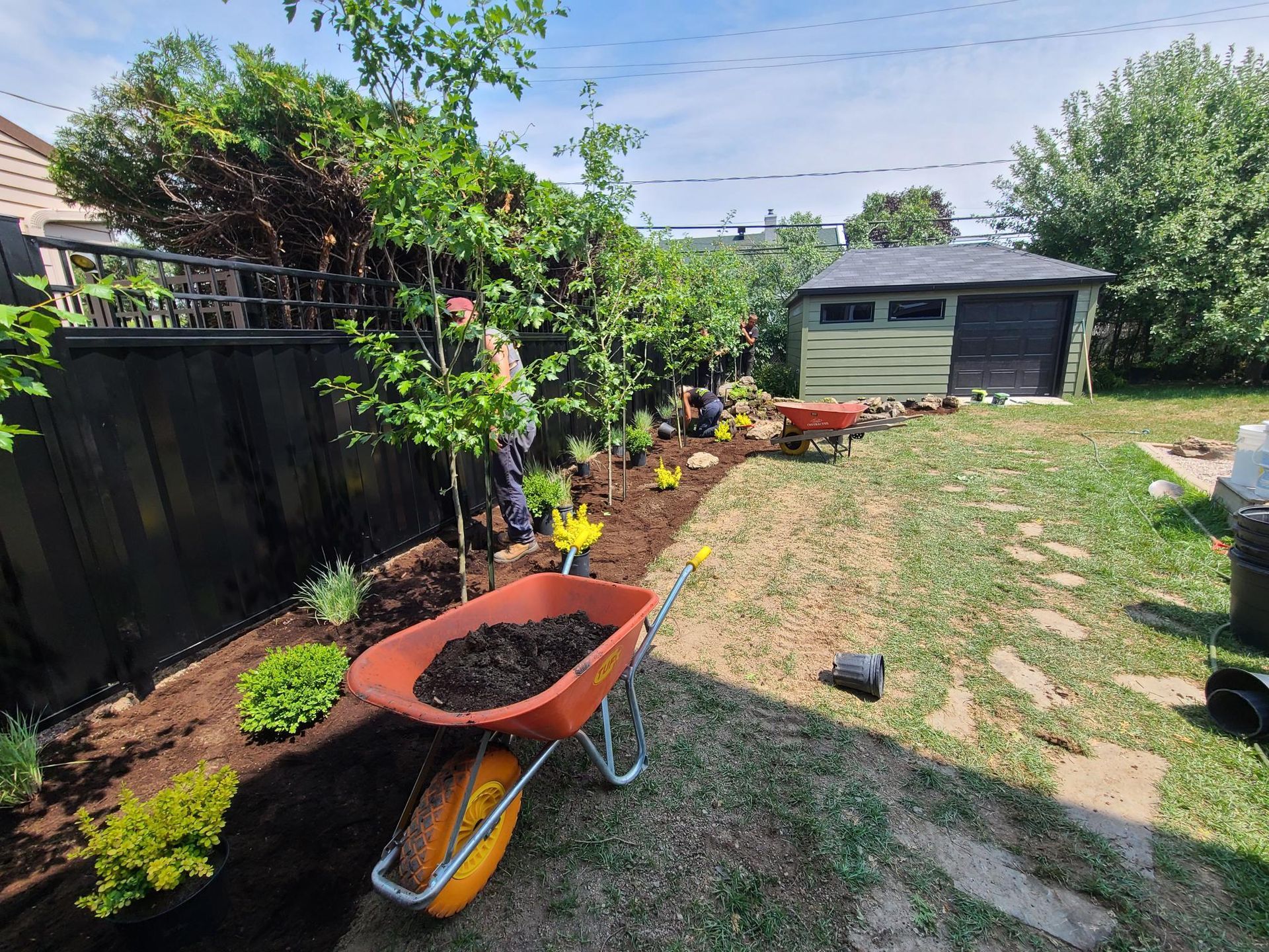 Une brouette est remplie de terre dans une cour arrière.