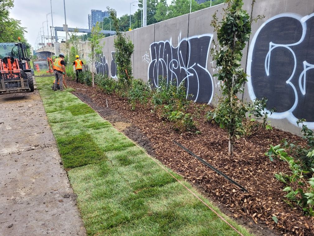 Un groupe de personnes se tient devant un mur avec des graffitis dessus.
