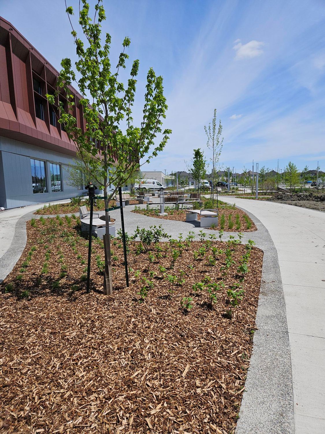 Une allée en béton avec des arbres et du paillis devant un bâtiment
