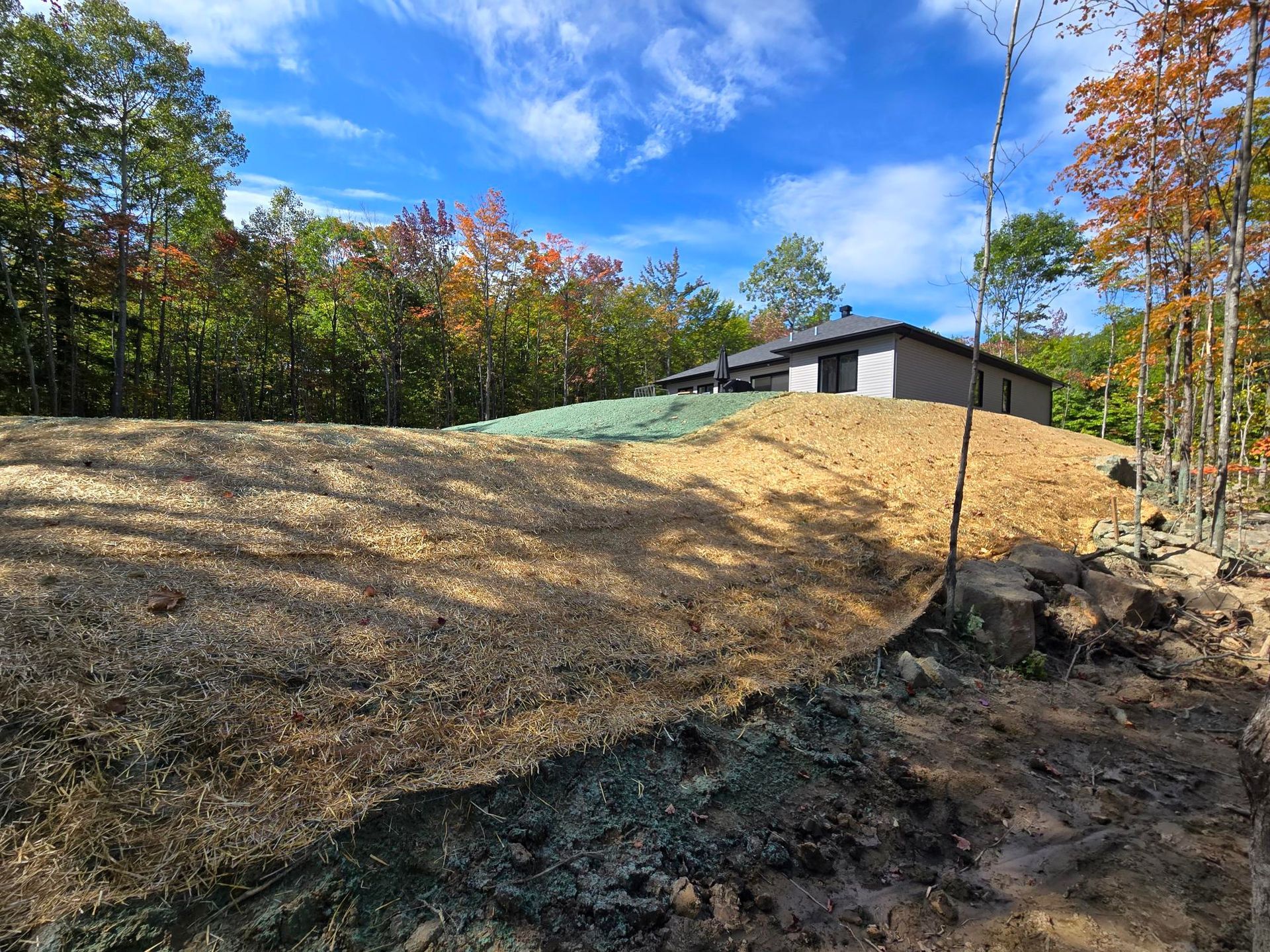 Une maison est assise au sommet d'une colline de terre au milieu d'une forêt.