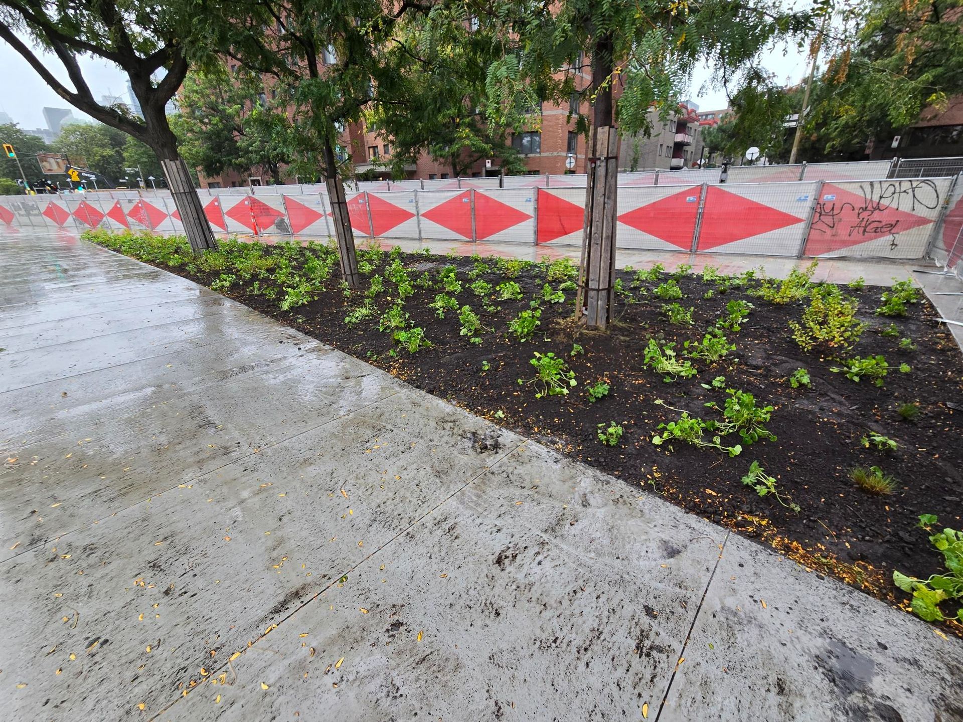 Un trottoir en béton avec une clôture et des arbres en arrière-plan