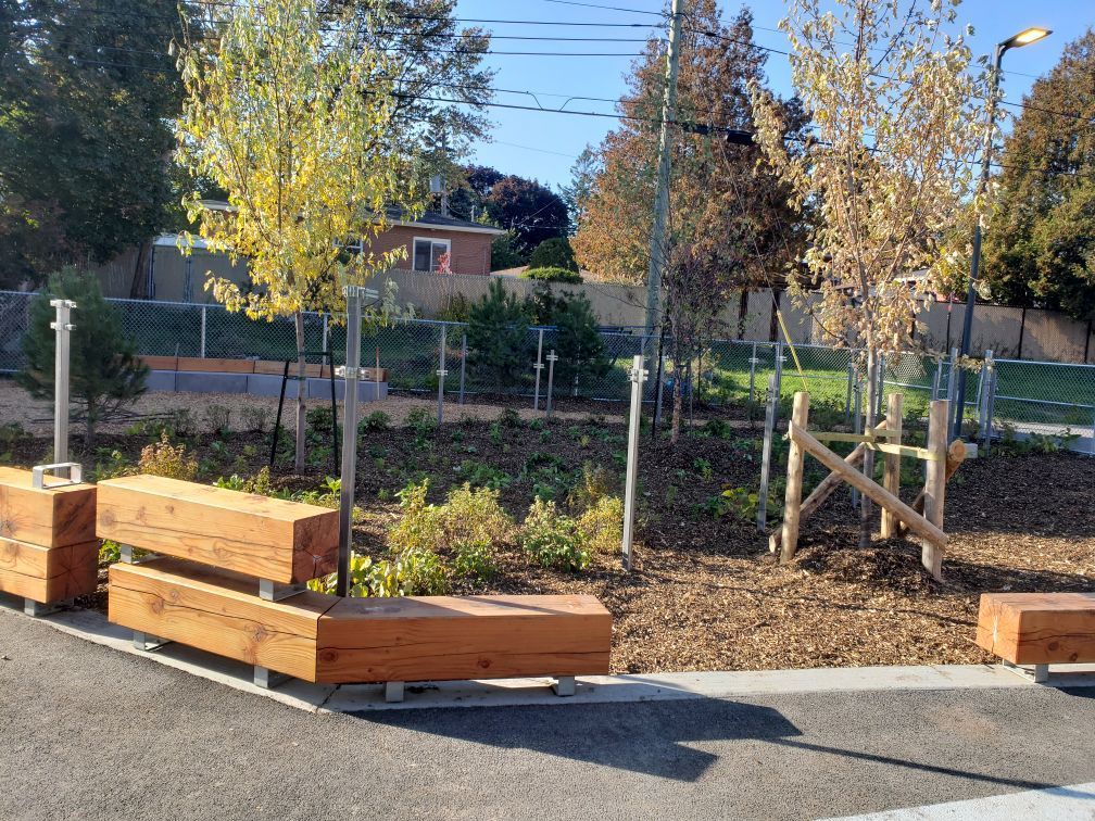 Un banc en bois dans un parc avec des arbres en arrière-plan