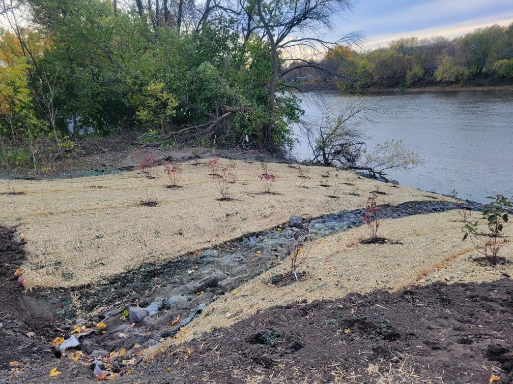 Une petite île au milieu d'une rivière entourée d'arbres.