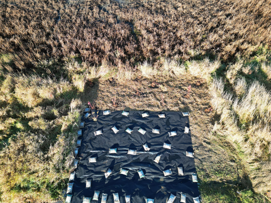 Un groupe de personnes sont allongées sur une couverture dans un champ.