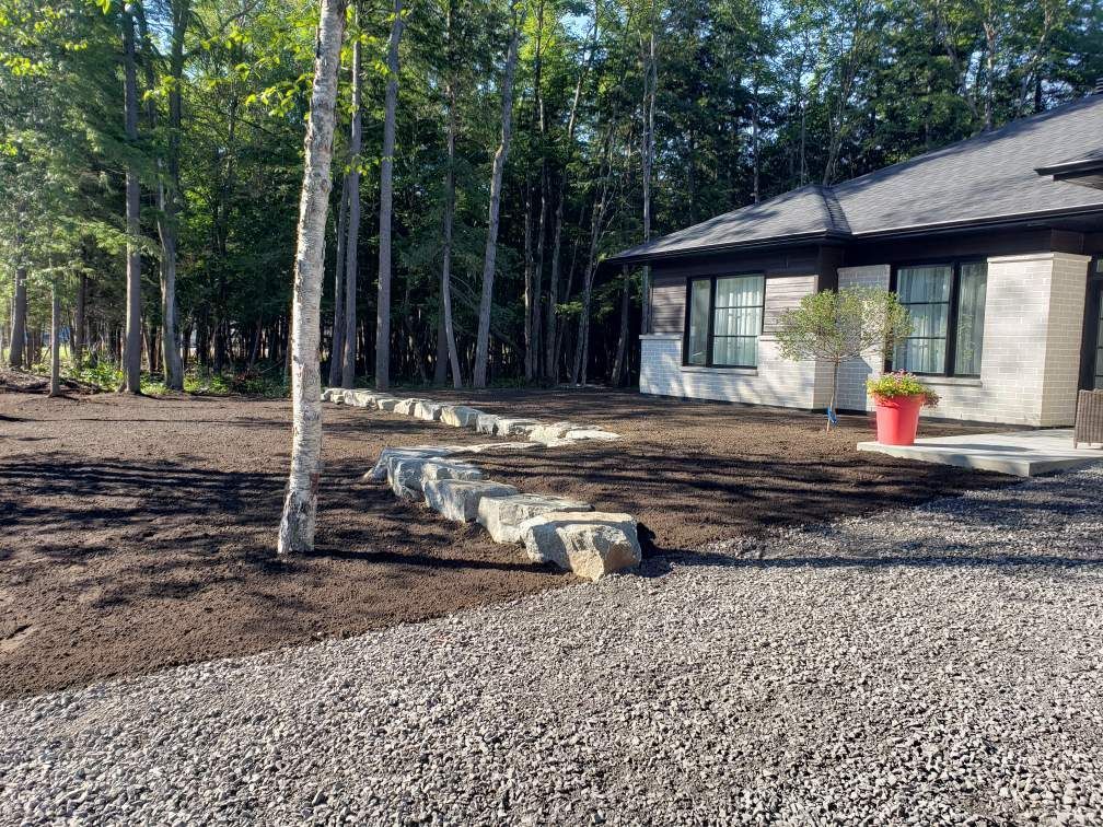 Une maison est située au milieu d'une forêt à côté d'une allée de gravier.