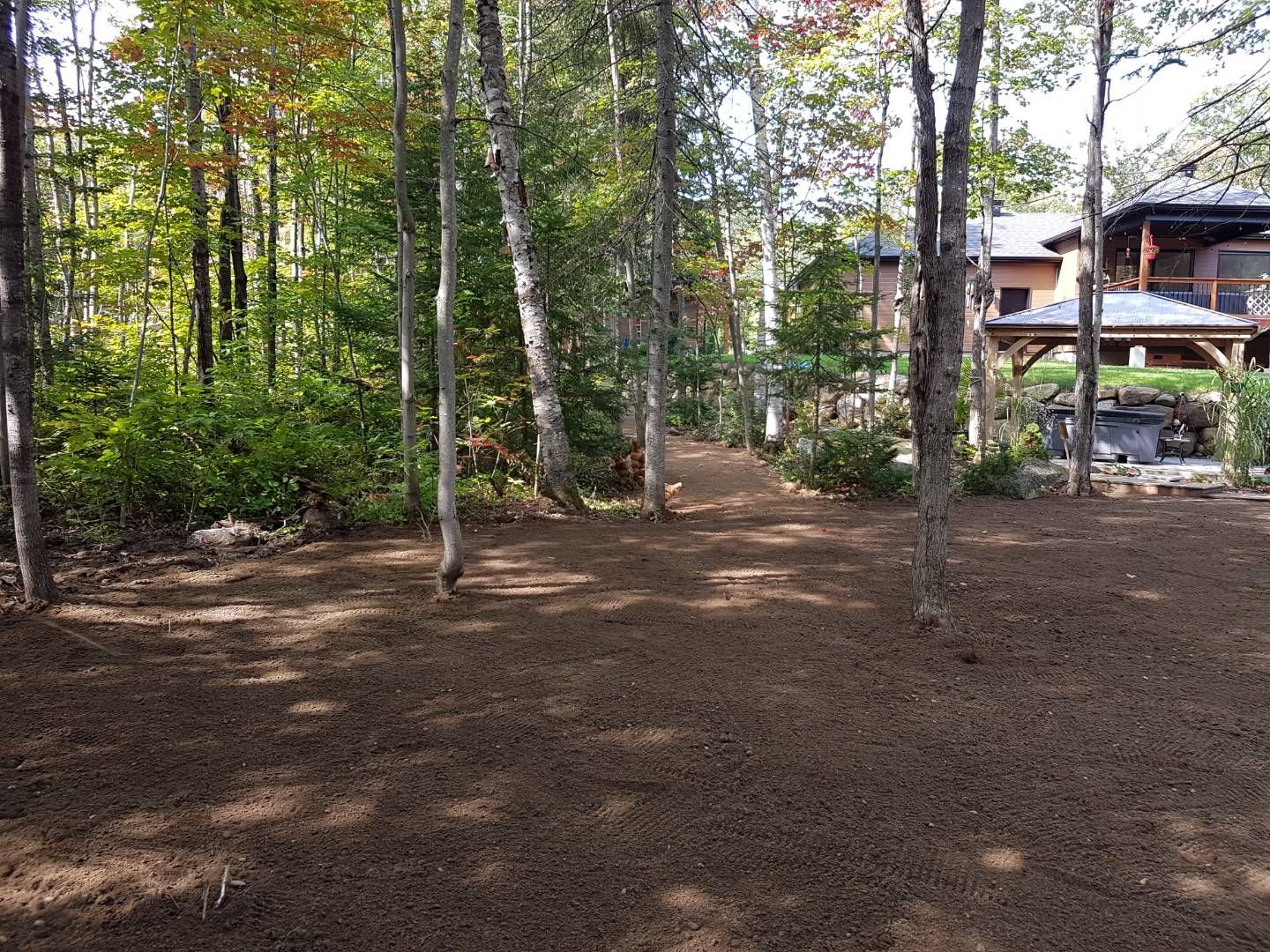 Une maison est située au milieu d'une forêt entourée d'arbres.