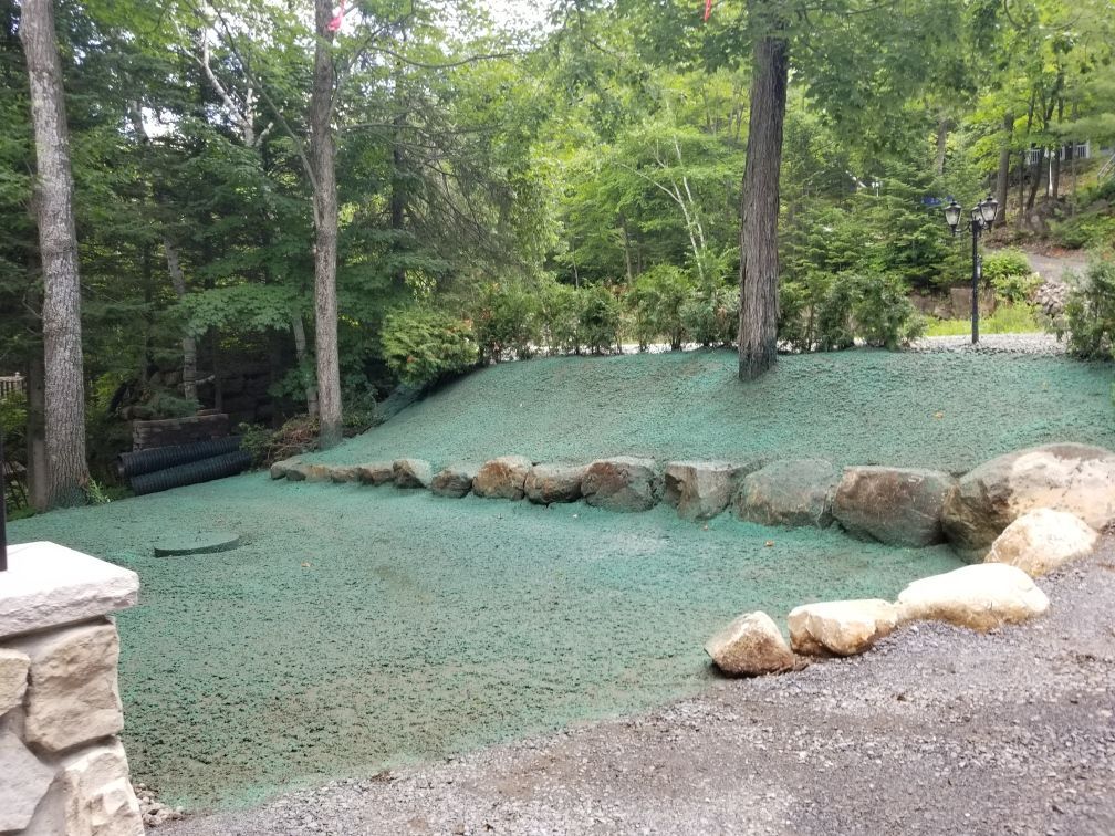 Une pelouse verte luxuriante avec des rochers et des arbres en arrière-plan.
