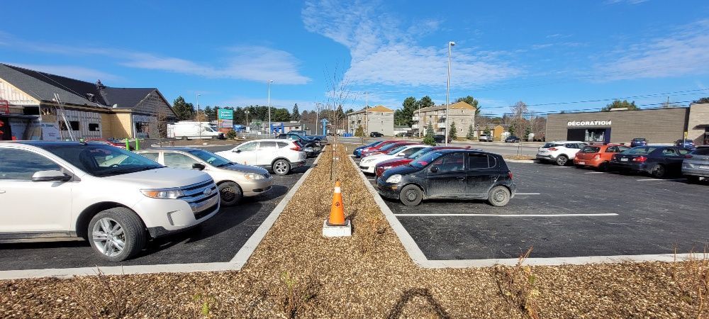 Beaucoup de voitures sont garées sur un parking.