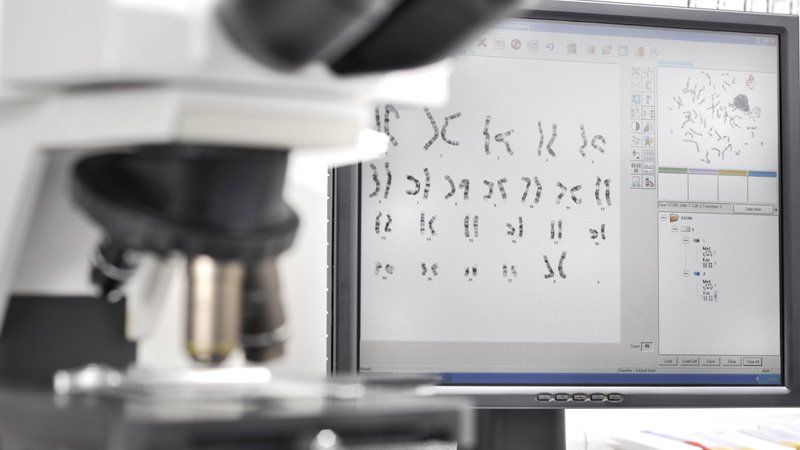 Il cariotipo su sangue