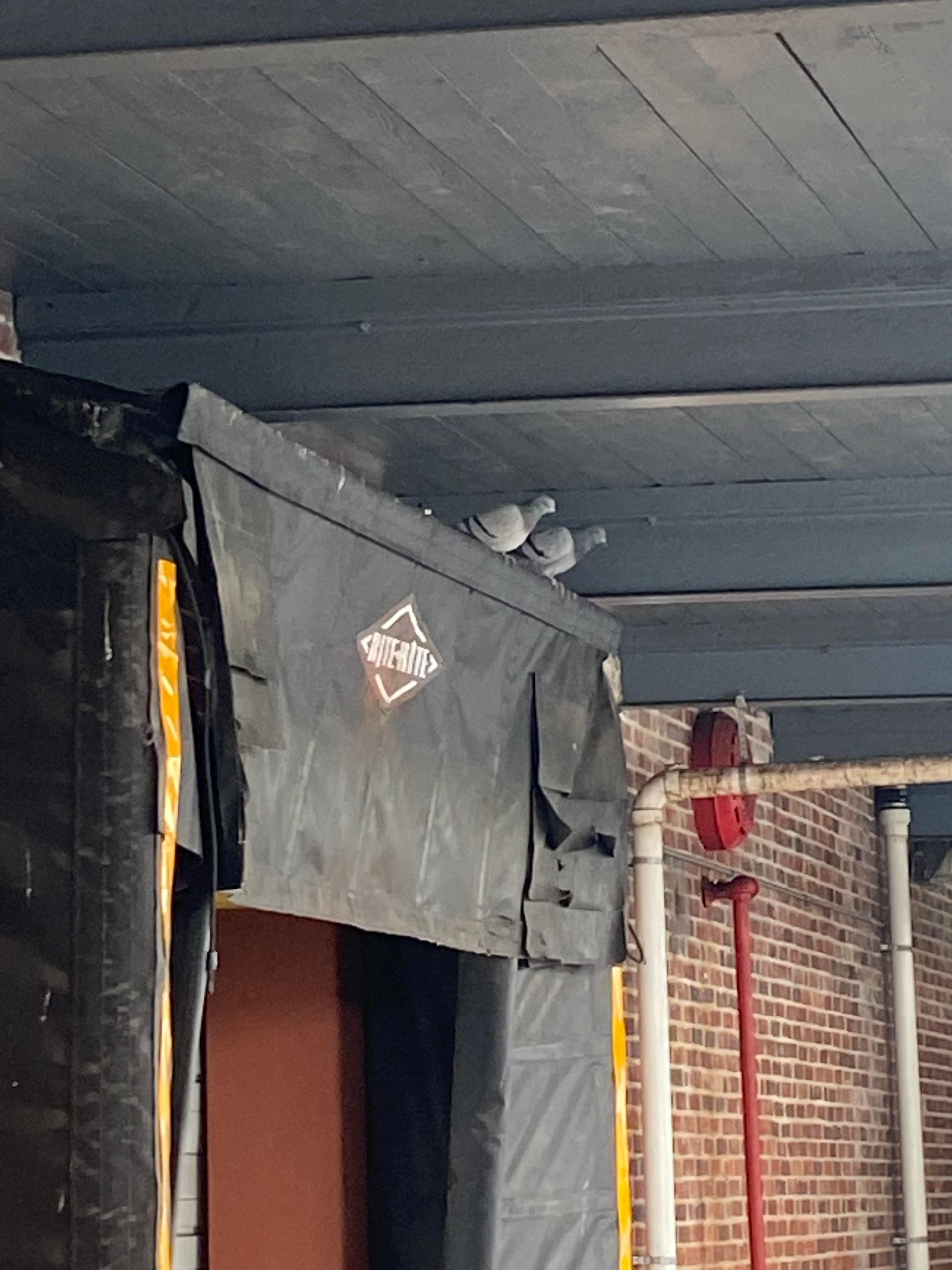A pigeon is sitting on top of a metal container that says ' cargo ' on it