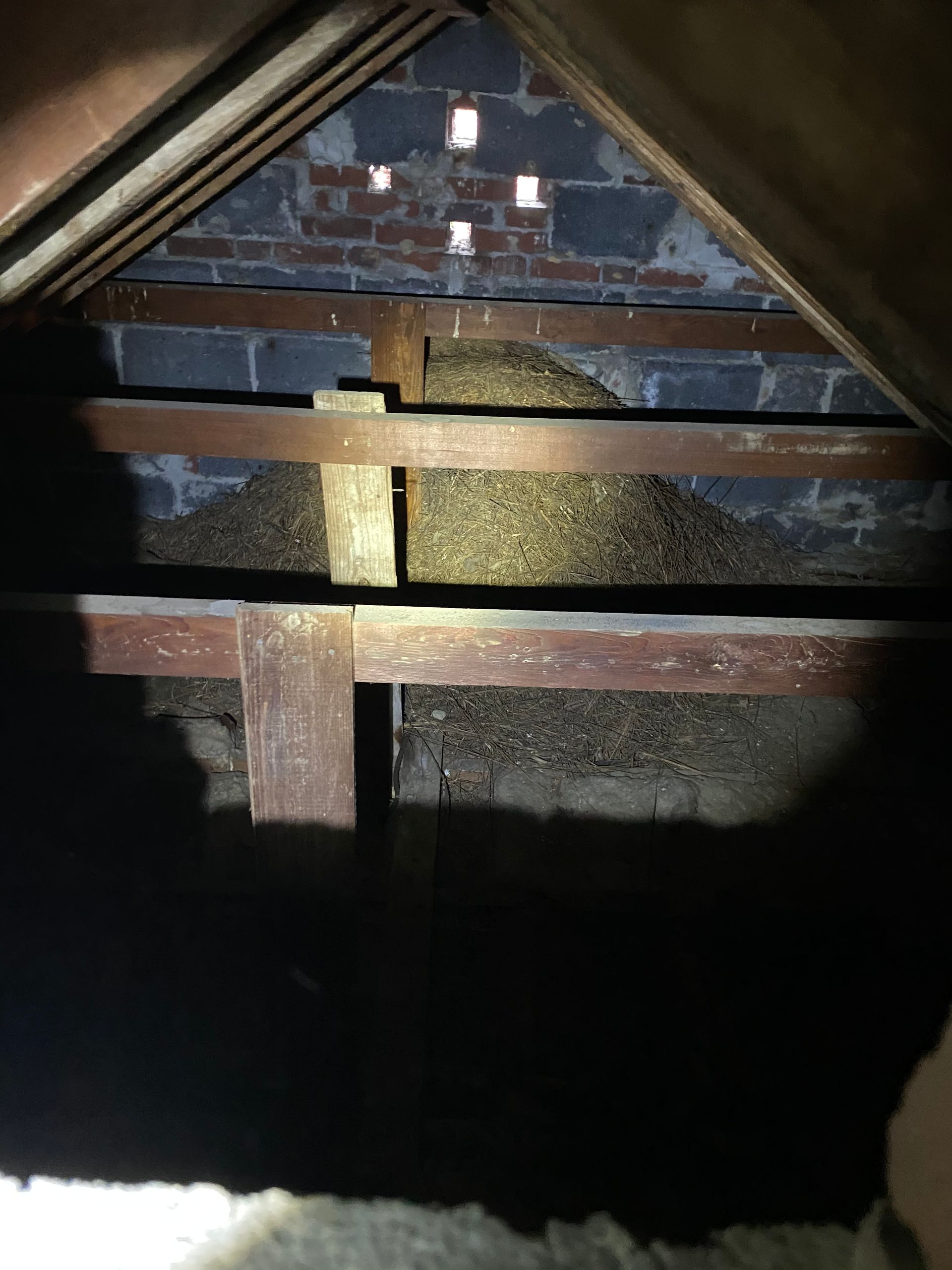 A dark attic with a brick wall and wooden beams.