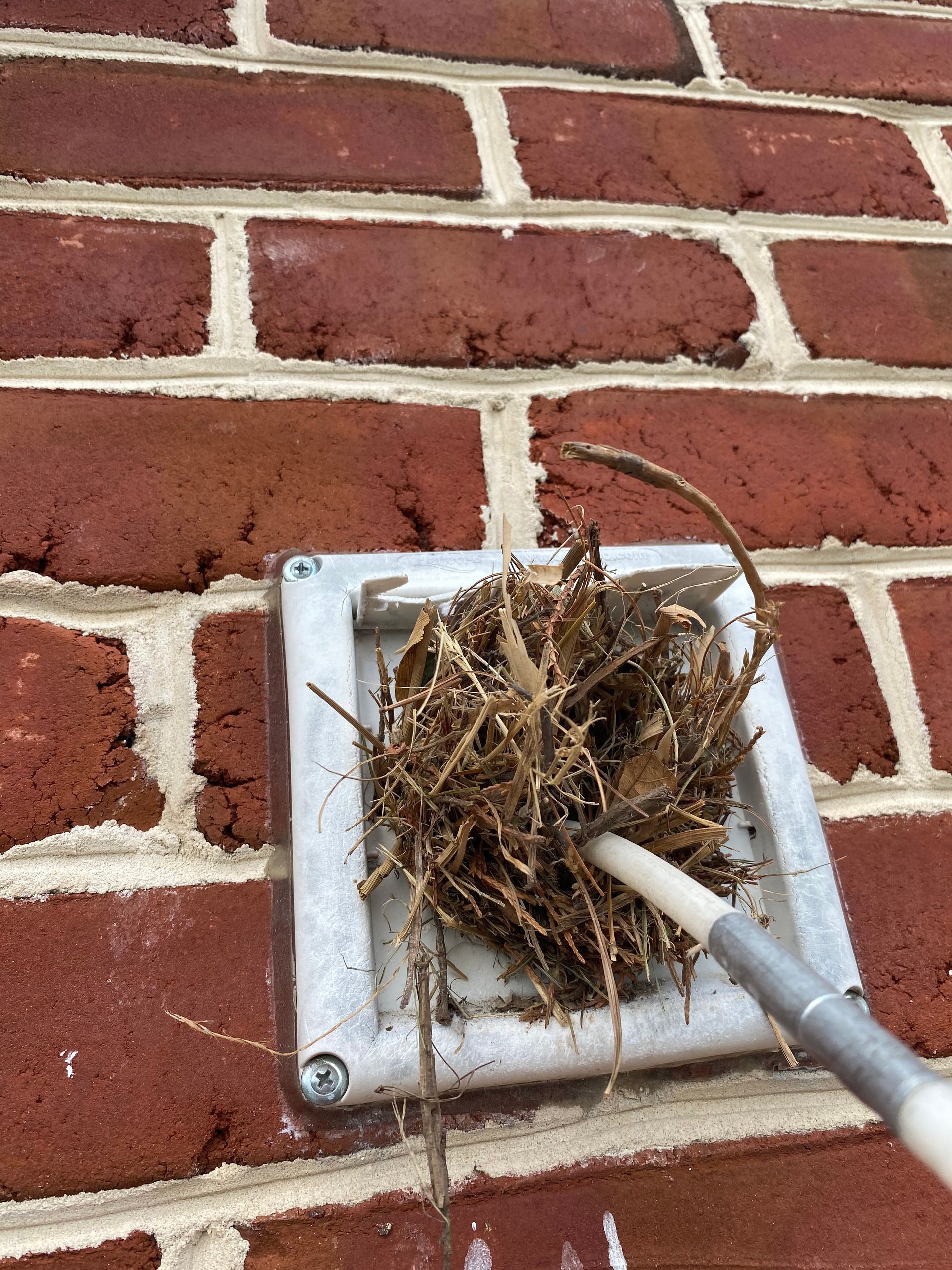 A bird nest is being removed from a brick wall