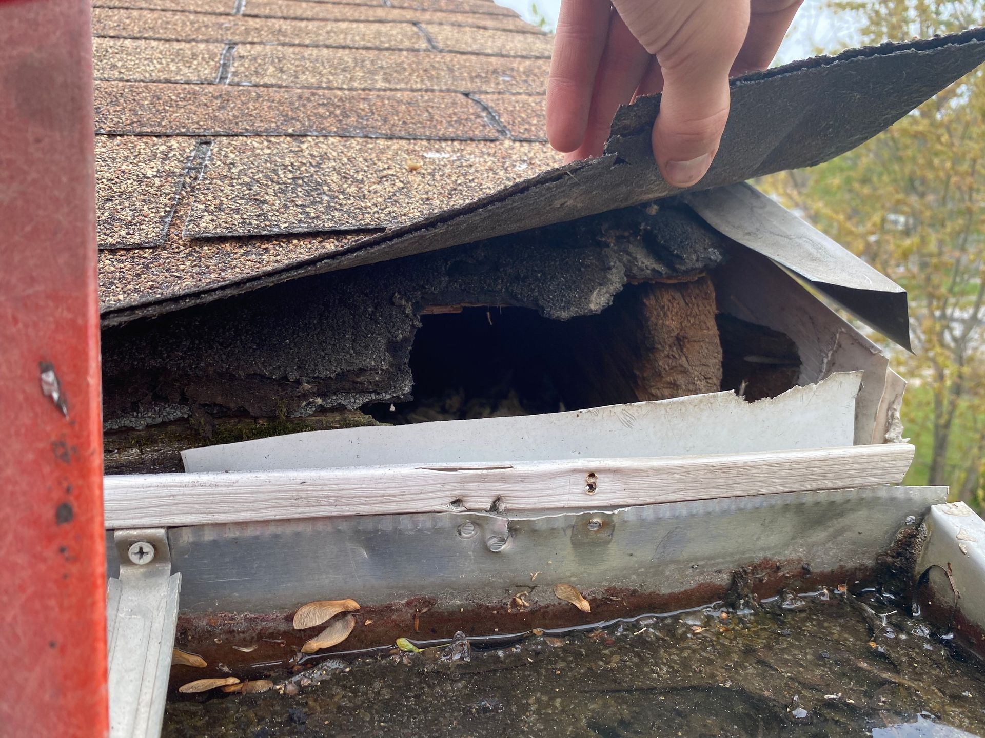 A person is holding a piece of shingles on top of a roof.