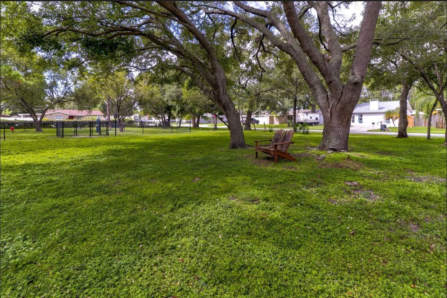 Grassy park with large trees, an old chair, and a fence in the distance.