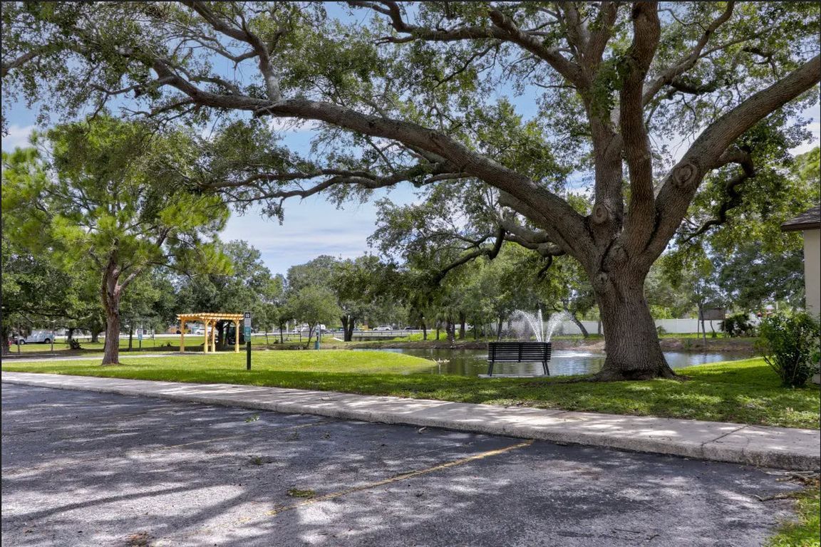 A park scene with a large tree, pond, fountain, and playground on a sunny day.