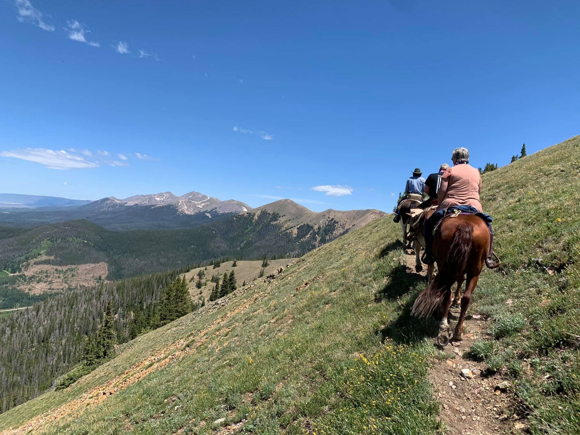 A group of people are riding horses on a trail in the mountains.