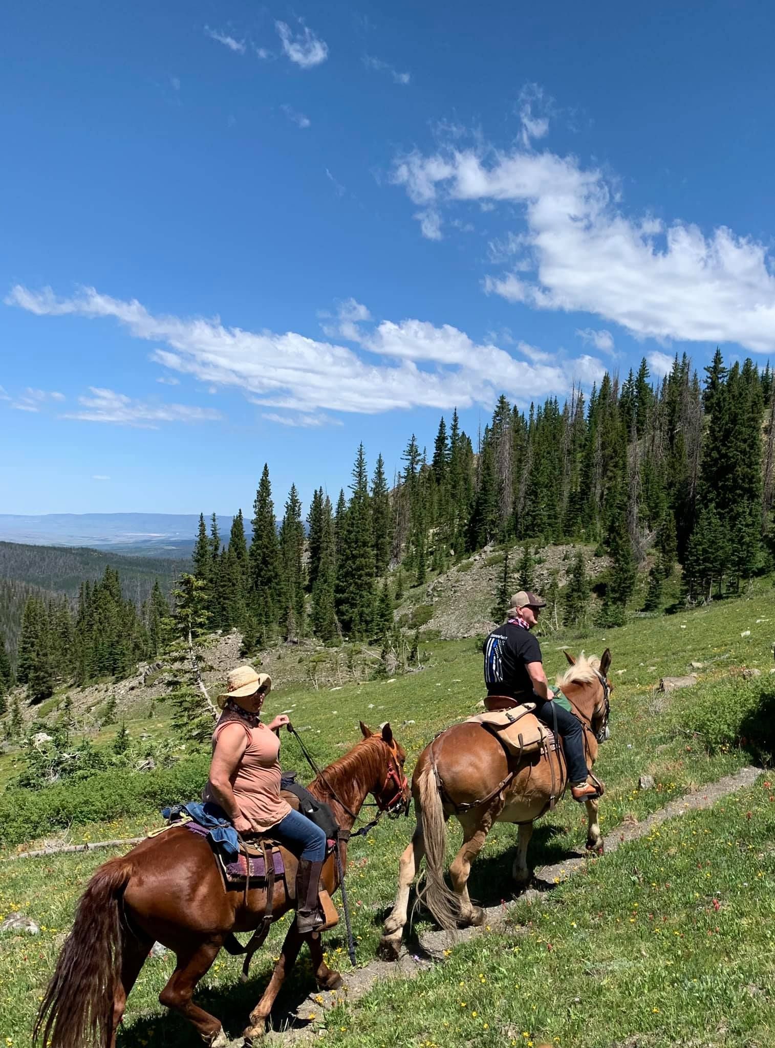 Two people are riding horses on a trail in the mountains.
