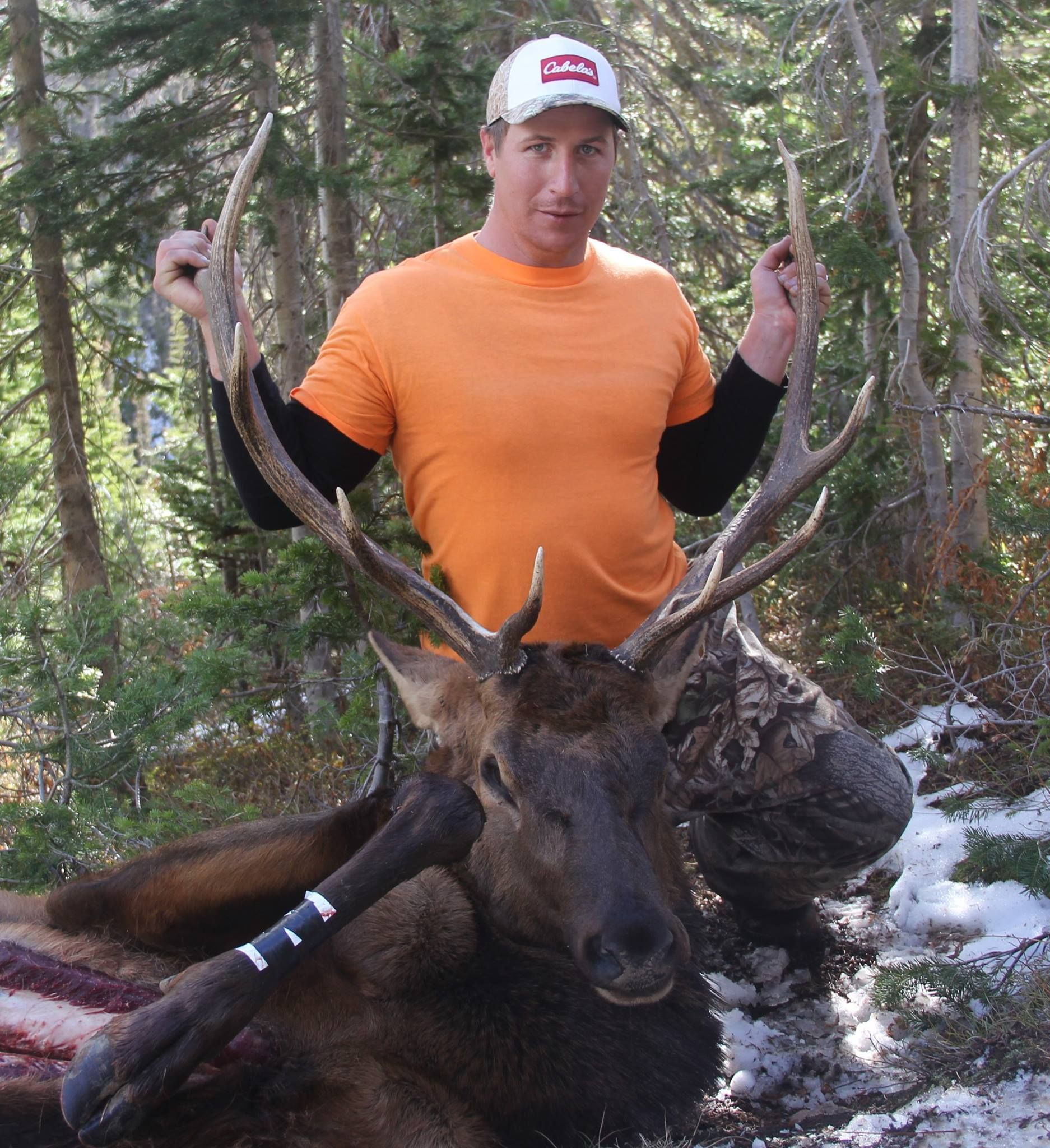 A hunter holding the antlers of his kill in the colorado forrest