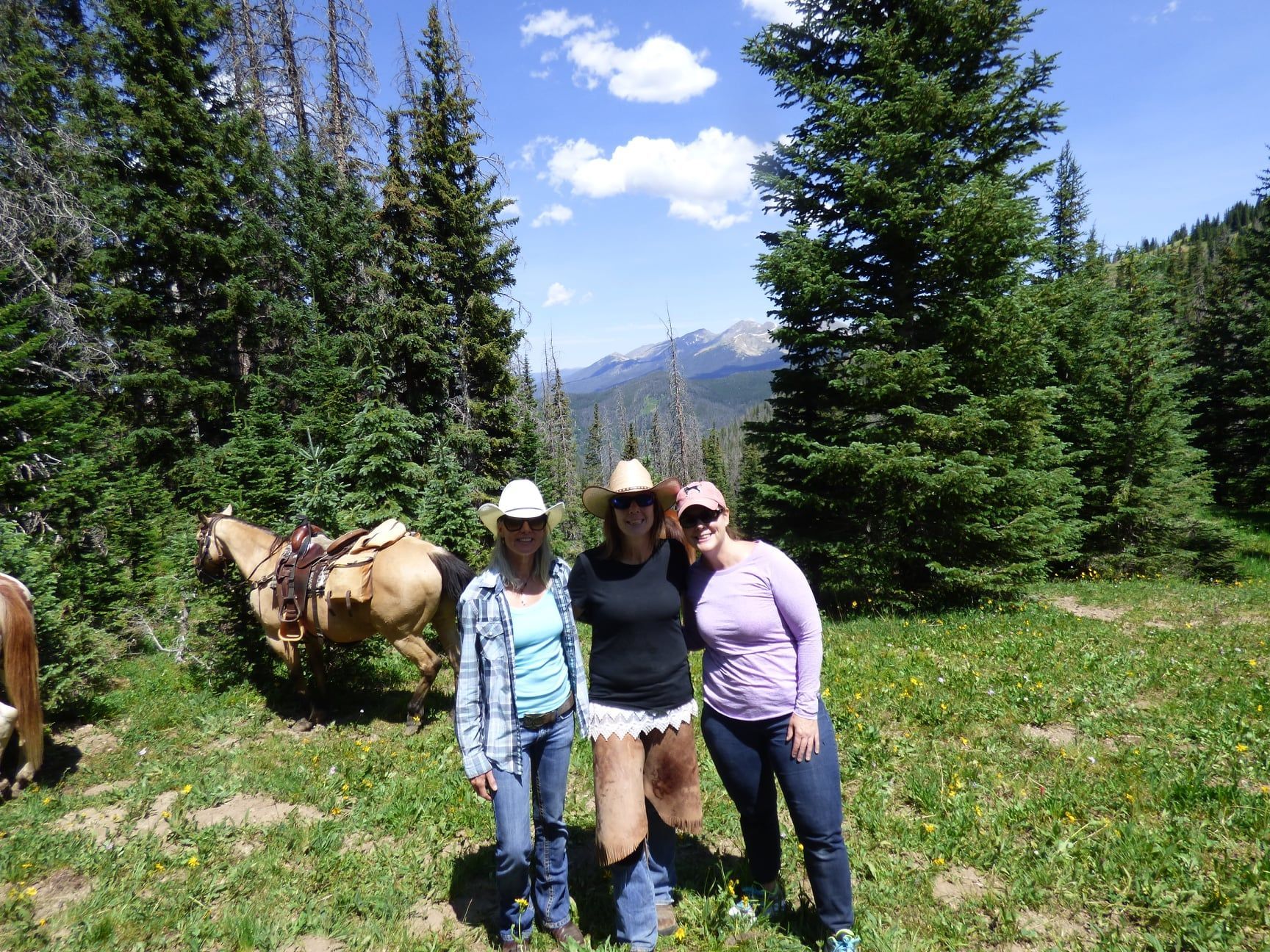 Three women are posing for a picture in a field with a horse in the background.