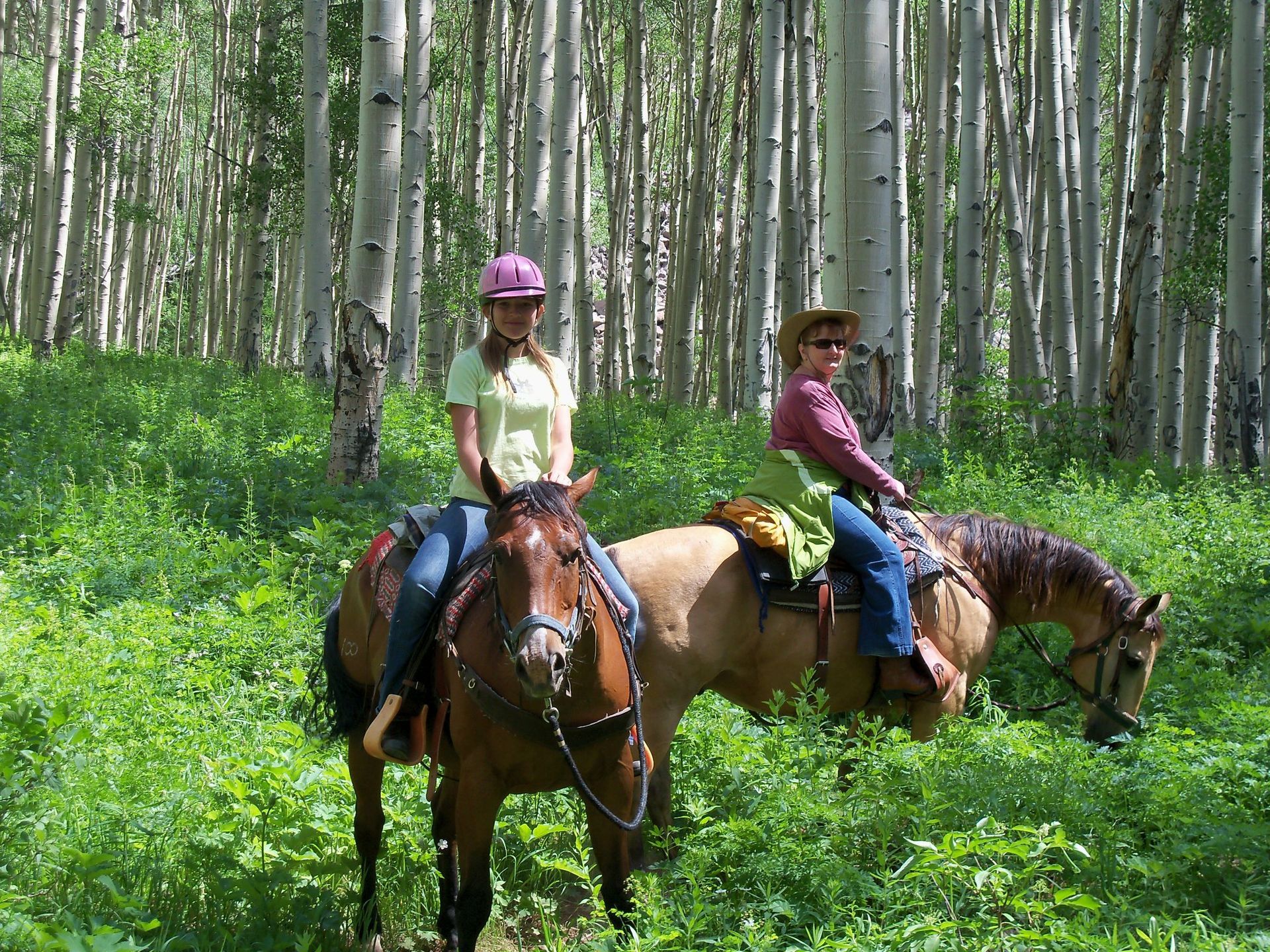 Two people are riding horses through a forest.
