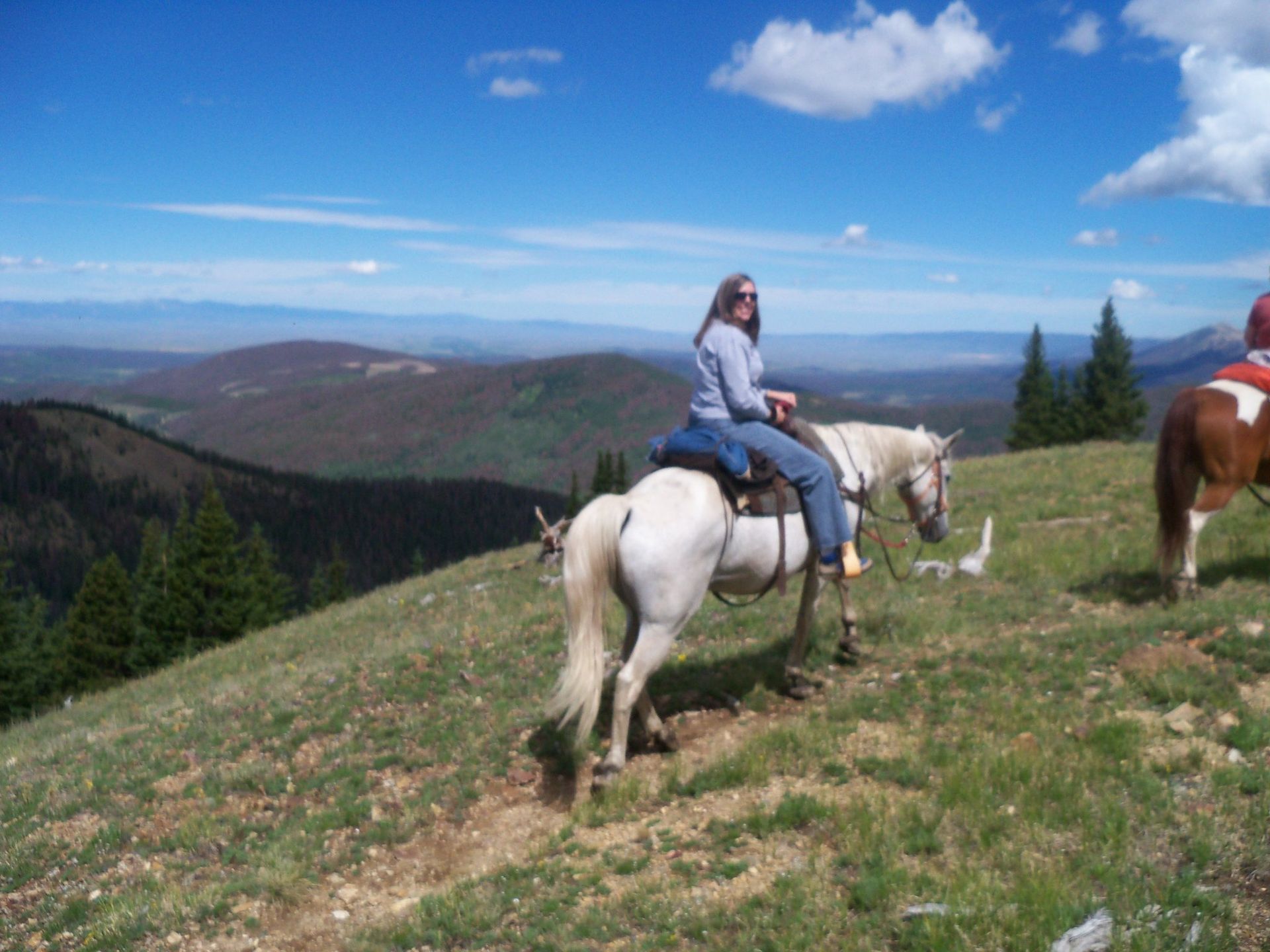 A woman riding a horse on top of a grassy hill