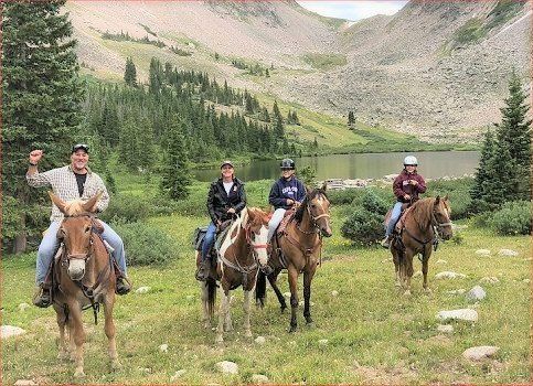 A group of people are riding horses in a field.